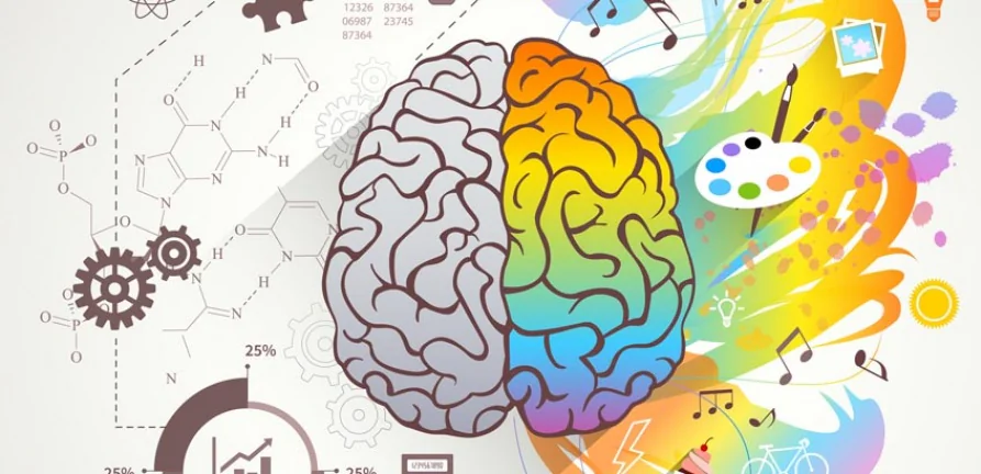 A Importância da Avaliação Neuropsicológica para TDAH